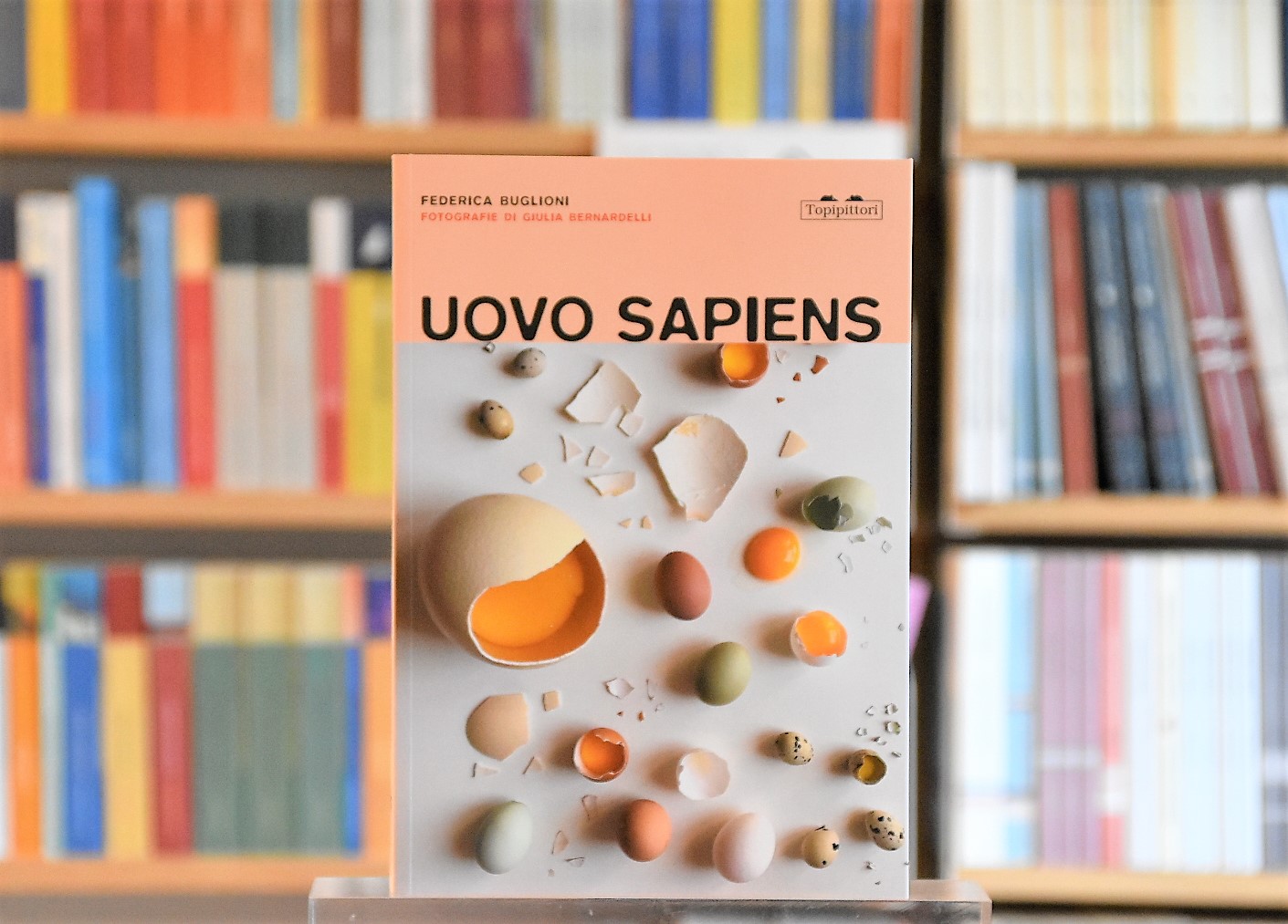 UOVO SAPIENS – Libreria Spazio Libri La Cornice