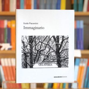 IMMAGINARIO
